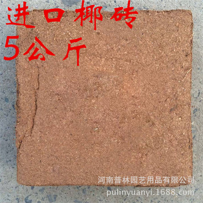 大块椰糠砖 进口椰砖 椰壳土 高档栽培基质 多肉花卉专用 5千克